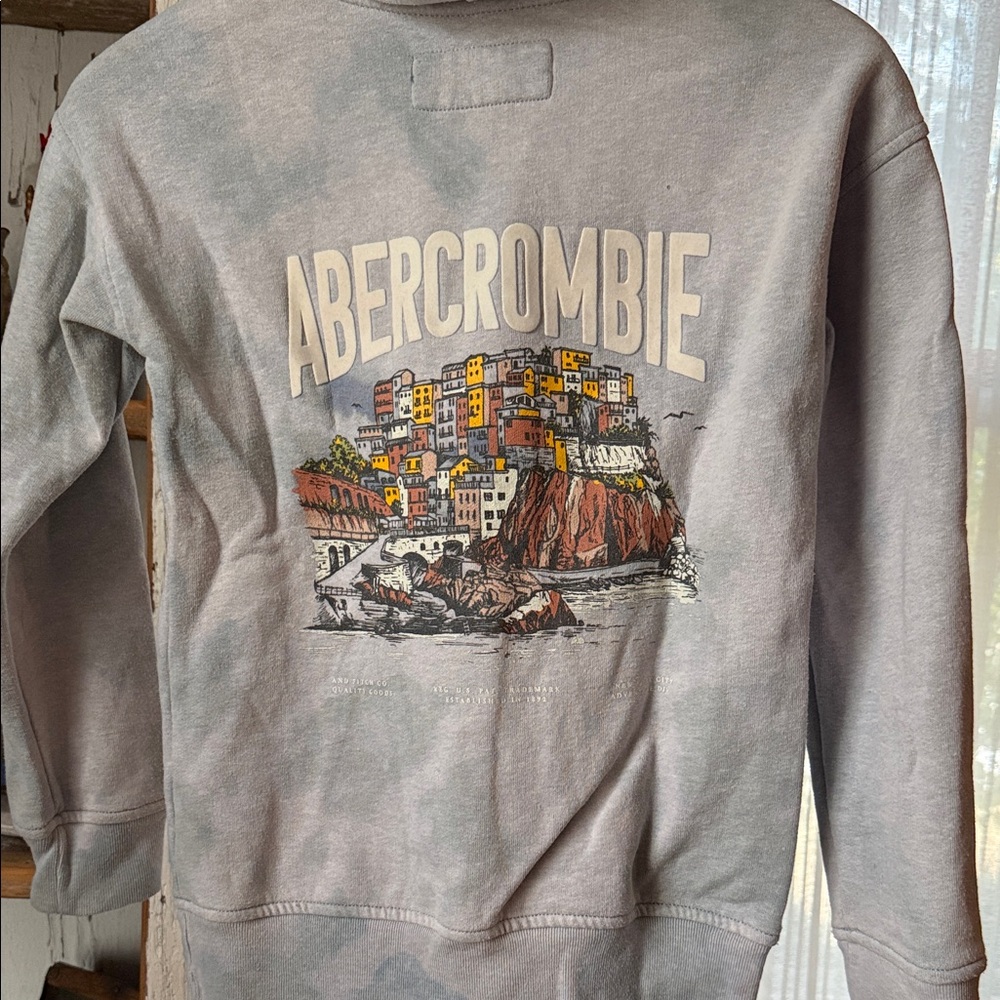 Abercrombie Kids Gray Hoodie